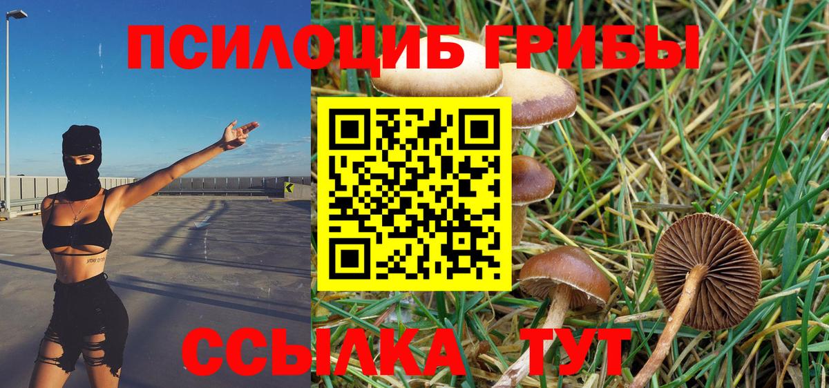 Псилоцибиновые грибы ЛСД Донецк